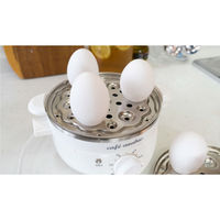 太知ホールディングス ゆで玉子名人・かんた SE-002 1個