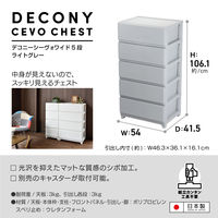 JEJアステージ　デコニーシーヴォワイド5段　ライトグレー　　1台