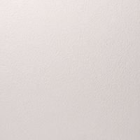 あいもり ほたて練り漆喰ムース 白 5kg HM-1 1缶（直送品）