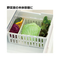 リッチェル トトノ 野菜・冷凍室用 伸縮ストッカー深型 レギュラー 236893 1個