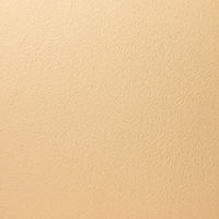 あいもり ほたて練り漆喰ムース 白茶 10kg HM-3 1缶（直送品）