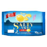 ファミリーサイズ ソルティ バター 16枚入 1セット（1個×2） クッキー ビスケット 小分け 個包装 東ハト