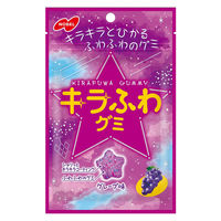 キラふわ グレープ 50g 1セット（1個×6） グミ キャンディー ノーベル
