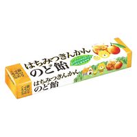 【アウトレット】はちみつきんかんのど飴 スティック 10粒入 1セット（1個×6） 飴 のど飴 キャンディー あめ ノーベル