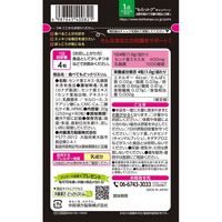 食べてもどっさりスリム20日分 1袋 井藤漢方製薬