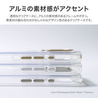 MSソリューションズ iPhone 16 Pro カメラ保護ハイブリッドケース チタン LN-IP24MCTI 1個