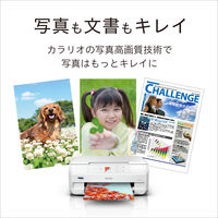 エプソン EP-717A 1台