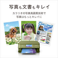 エプソン EP-887AP 1台