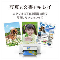 エプソン EP-817A 1台