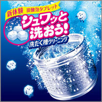 洗浄力 シュワッと洗たく槽クリーナー 除菌 消臭 個装タイプ 3回分 エステー（わけあり品）