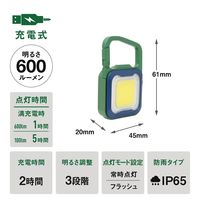 ムサシ 充電式 ぴかり MINI LIGHT ディープグリーン/ブルー WRC-25GB 1台 67-5188-03（直送品）
