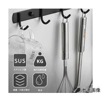 Trimate 壁面用ステンレスフック ブラック フック6本 TR-KF001-6 1個 67-4918-91（直送品）