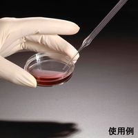 プラスチックパスツールピペット CELLTREAT(R) Plasteur 9インチ 500個入 229285 1箱(500個)（直送品）