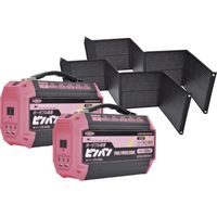 日動工業 NICHIDO 防災ロッカー 【Bセット】ピンバン2台セット BCP-2-B 1セット 567-0702（直送品）