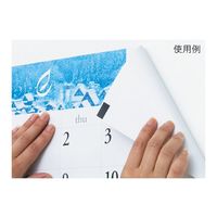 ニチレイマグネット マグタックピース(R)10×30 200丁付 MNP-0813 1枚 62-2197-32（直送品）