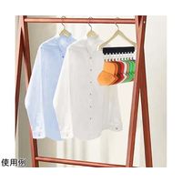 Trimate 洗濯 クリップ 10P TR-SC-010 1個 67-4920-72（直送品）