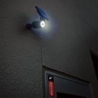 日本緑十字社 ソーラーセンサーライト ダミーカメラタイプ センサーライトー796 195×215×100mm 352136 1台（直送品）