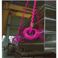 ルッドスパンセットジャパン RUD スターポイントロングボルトタイプVRSーM16L VRS-M16L 1個 553-6099（直送品）