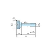 ホシモト ローレットビス(マイナス頭) K-2-1 1個 62-2983-42（直送品）
