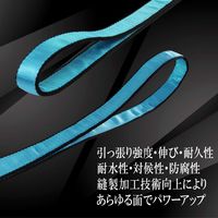 フリーク JISIIIスリングベルト E型1600kg 幅50mm×長さ2.5m 81039 1本（直送品）