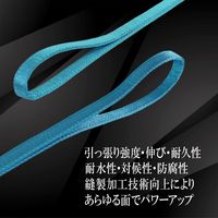 フリーク JISIIIスリングベルト E型800kg 幅25mm×長さ7m 81012 1本（直送品）