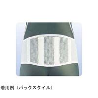 アシスト プロスリム・メッシュ アルミステイ 3L 09922 1本 68-4059-19（直送品）