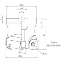 ダイジェット工業 ダイジェット ワイルドラジアス WDR-4063R-22 1台 175-2673（直送品）