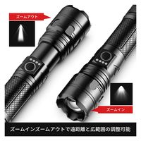 アスコ 強力懐中電灯 X16B C1000396 1台（直送品）