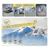 HOLY STONE ドローン 100g未満 小型 1080Pカメラ バッテリー付 HS430 1台（直送品）