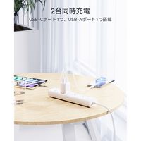 VOLTME 充電器 30W TypeC+15W TypeA ホワイト V2098 1点