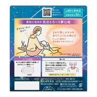 花王 めぐりズム蒸気でグッドナイトDreamy Selection 無香料12枚 437280 1個