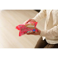 山崎産業 かるがーる フローリング用ドライシートEC 60枚 4903180201266 1セット(1袋×5)