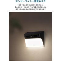 Anker Eufy Solar Wall Light Cam S120 T81A0311 1個