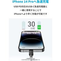 Anker 310 USBーC & ライトニング ケーブル 1.8m A81A2011 1本