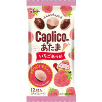 チョコレート カプリコのあたま　いちごあつめ 1セット（1個×10）