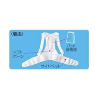 アシスト 背筋すっきりベルトワイドメッシュ(パッド付) M 00391 1本 68-4061-78（直送品）