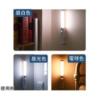 Trimate 充電式ナイトライト 人感センサー搭載 TR-NLJ001 1個 67-4920-27（直送品）