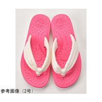 ラッキーベル はなおくんはなおちゃん ピンク 4号 67-8175-95 1足（直送品）