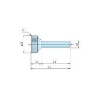 ホシモト SUS製ローレットビス(全ネジ仕様) SK-3-2 1個 62-2983-64（直送品）