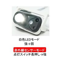 リッチボンド FIREーFOX USB充電・赤外線センサー付きコンパクトLEDヘッドランプ FX-2316 1個 67-5727-84（直送品）