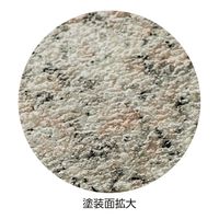 日本緑十字社 滑り止め塗料 SVTー1000N 112006 1組（直送品）