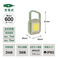 ムサシ 充電式 ぴかり MINI LIGHT ミントグリーン/シャンパンゴールド WRC-24MG 1台 67-5188-02（直送品）