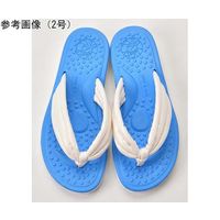 ラッキーベル はなおくんはなおちゃん ブルー 00号 67-8175-84 1足（直送品）