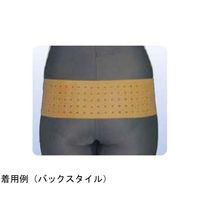 アシスト 丸型骨盤バンド・ハード 3L 00350 1本 68-4059-71（直送品）