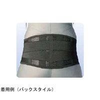 アシスト スーパーAZ ブラック 4L 07052 1本 68-4058-53（直送品）