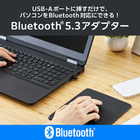 Bluetooth Ver5.3 USB アダプタ コンパクト 省電力 ブラック LBT-UAN06C2/EC エレコム 1個（直送品）