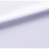 サーヴォ 長袖ブラウス ラベンダー 21号 GBLL-2457-J1 1着（直送品）