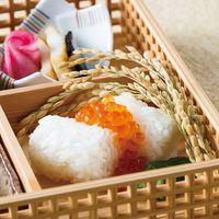 ヤマコー 稲の穂 コシヒカリ 25237 1セット(100本)（直送品）