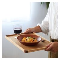 ヤマコー ノンスリップ・コンビネーショントレイ 大 15611 1個（直送品）