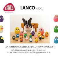 （数量限定）LANCO ランコ ダルマタマゴ アソート 1個 ダッドウェイペット 犬用 おもちゃ